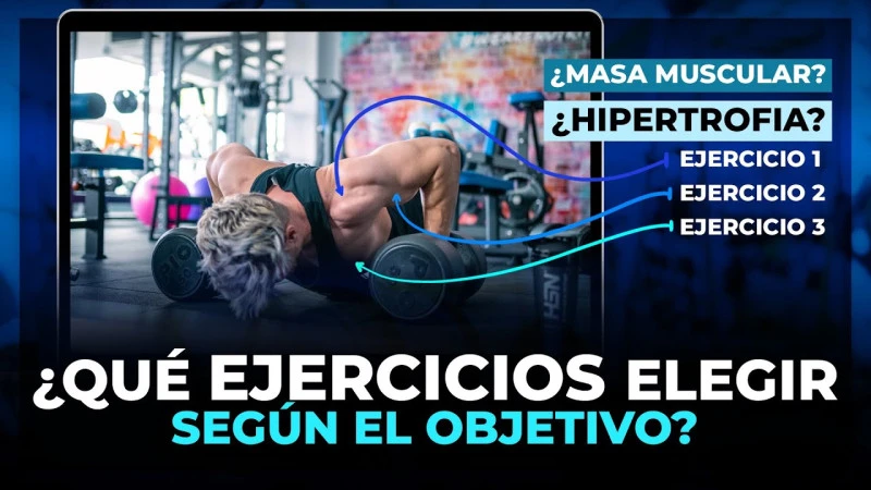 Cómo elegir el programa de ejercicios adecuado