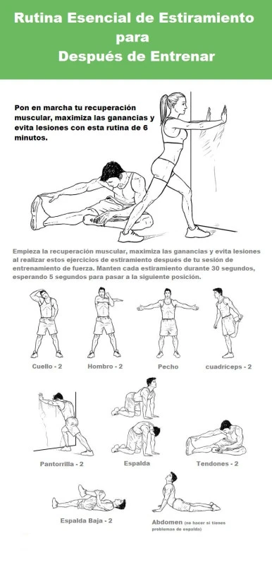 Estiramientos esenciales post-entrenamiento