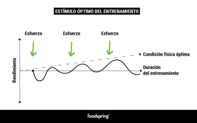 Ciclos de entrenamiento: funcionamiento y efectividad