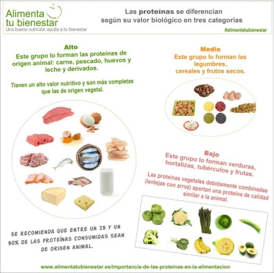 Importancia de las proteínas en tu dieta