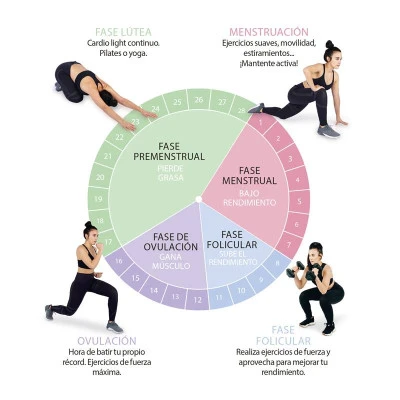 Adaptando tu rutina al ciclo menstrual