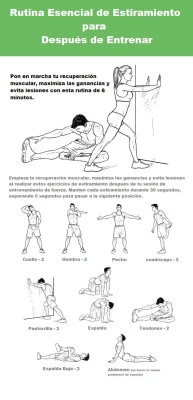 Estiramientos esenciales post-entrenamiento