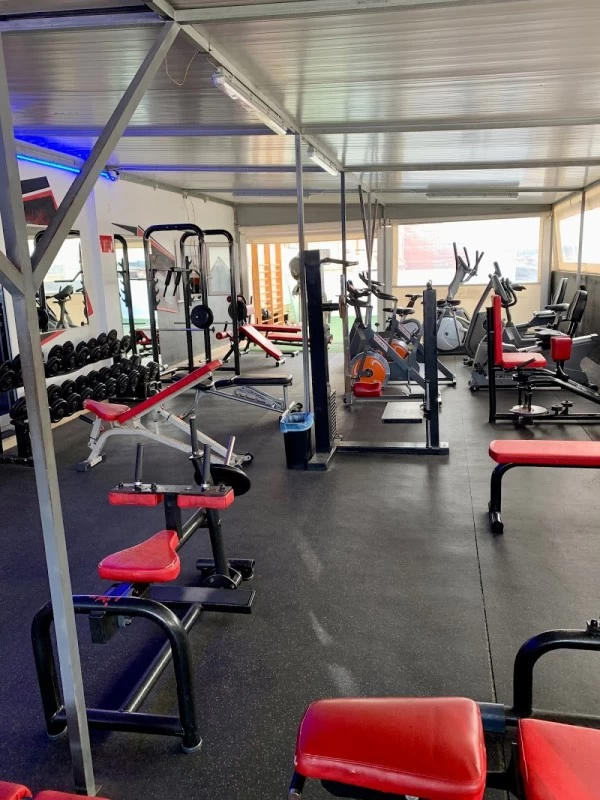 Gimnasio 360