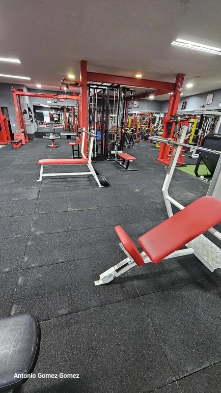 GIMNASIO C.A.R GOMEZ