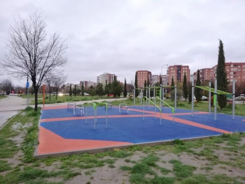 Gimnasio calistenia
