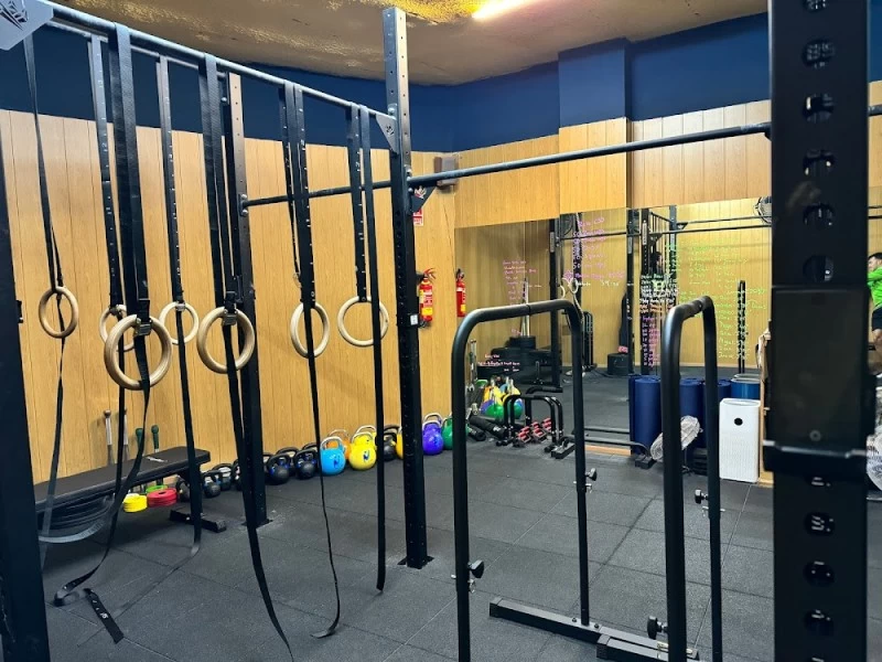 Gimnasio funcional y calistenia