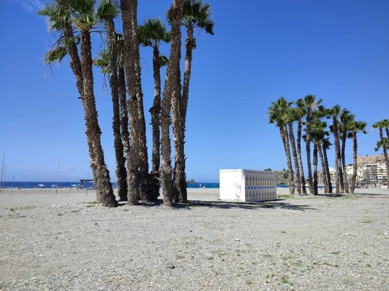 Gimnasio Público Playa Puerta Del Mar