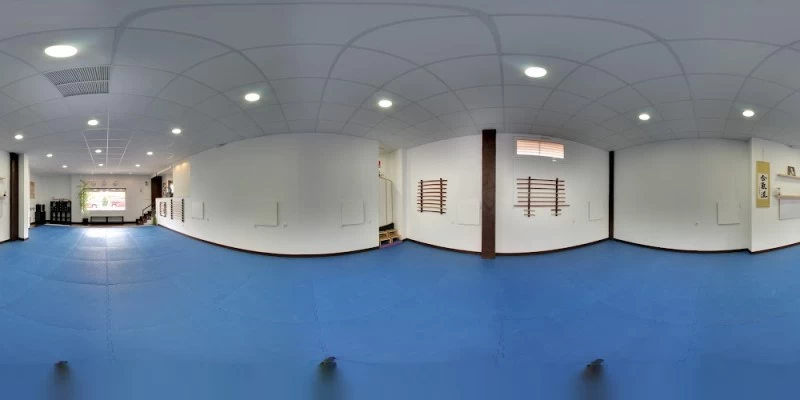 Gimnasio, Artes Marciales SHINDOKAN-Aikido-Tai Chi-Defensa Personal-Yoga-Pilates