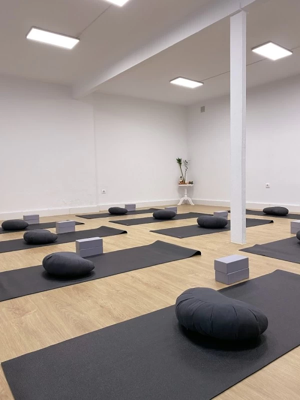 Ginkgo - Escuela de yoga Ubrique