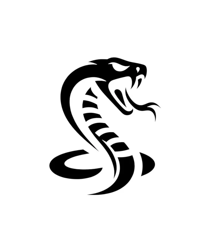 gym cobra