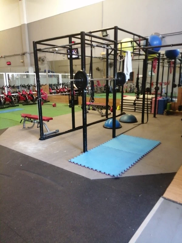 Gym LA JUNGLA