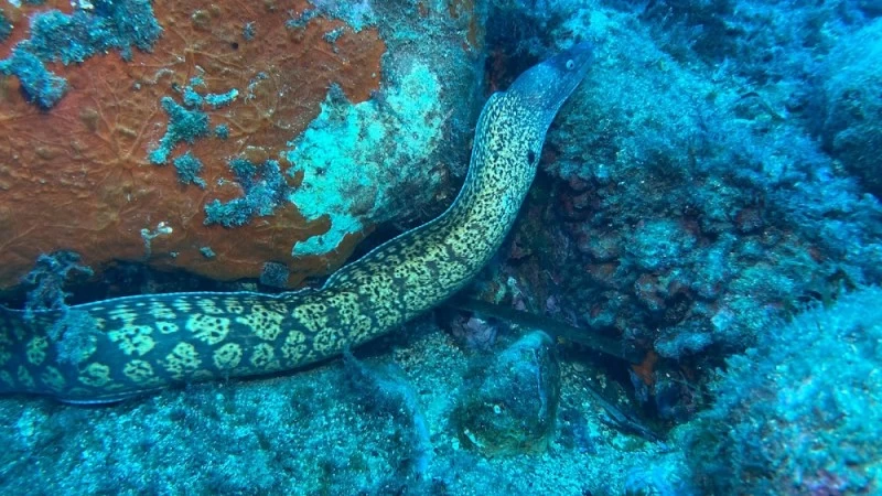 H2O Diving Center