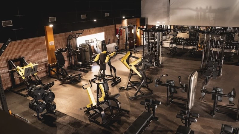 ArtGym Sport Gallery San Lorenzo