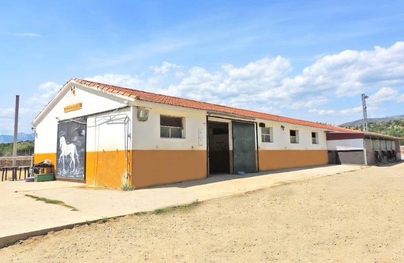 Hípica Guadalix  Escuela Equitación