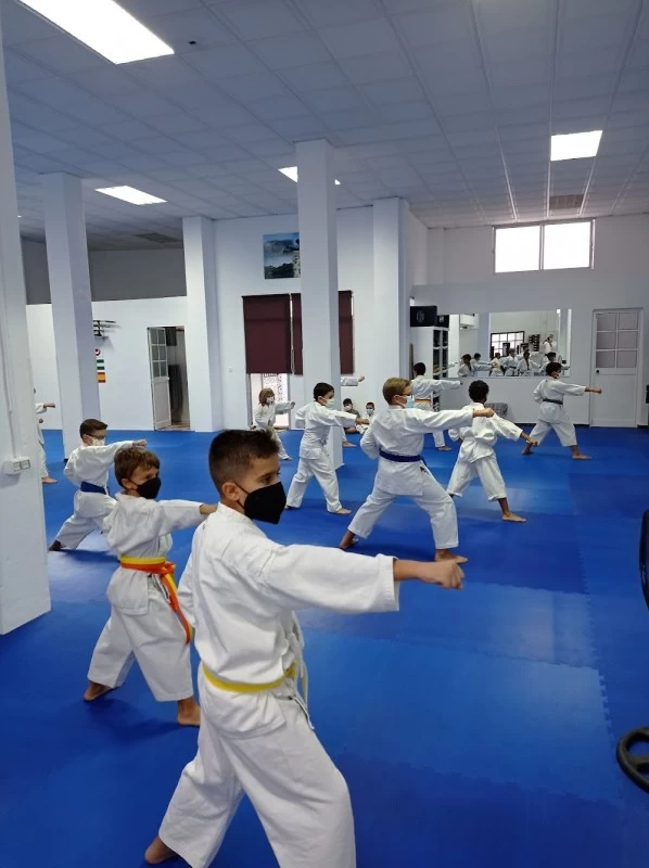 Honbu Dojo Torcal Antequera
