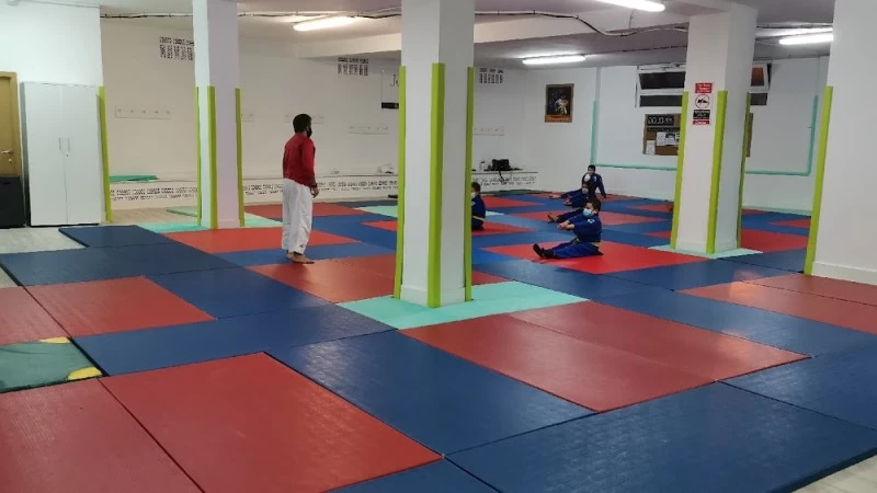 Judoescuela Cartes