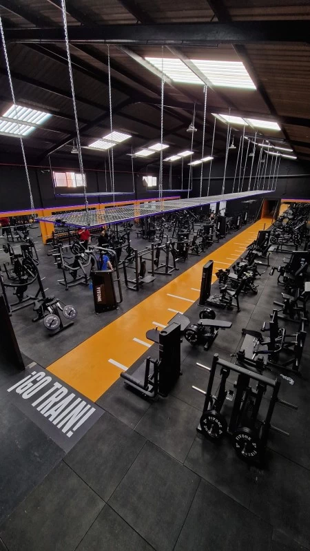 ATLAS Gym