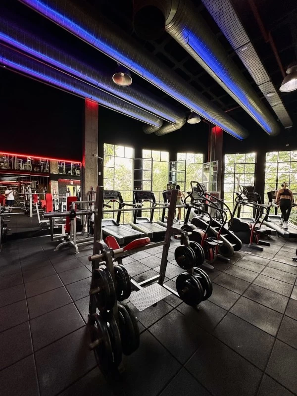 M13 GYM