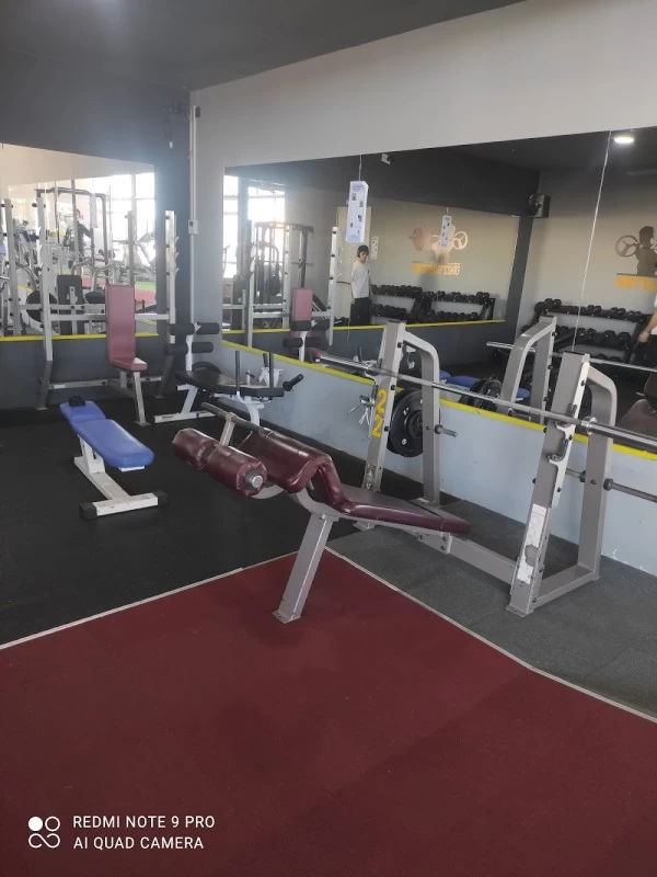 MSCFITNESS24H
