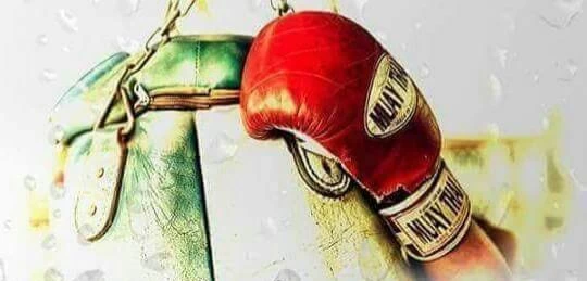 Muay Thai Majadahonda GLH Gimnasio Las Huertas