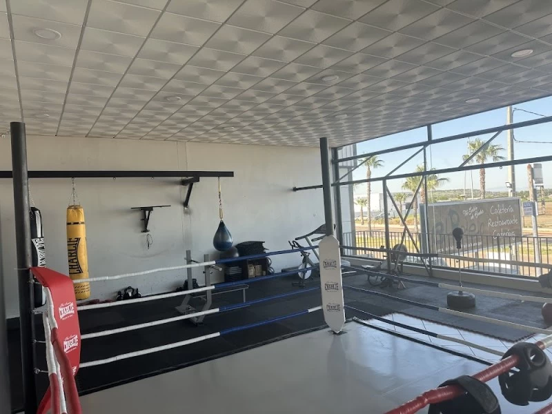 Next Level Combat Sports Academy