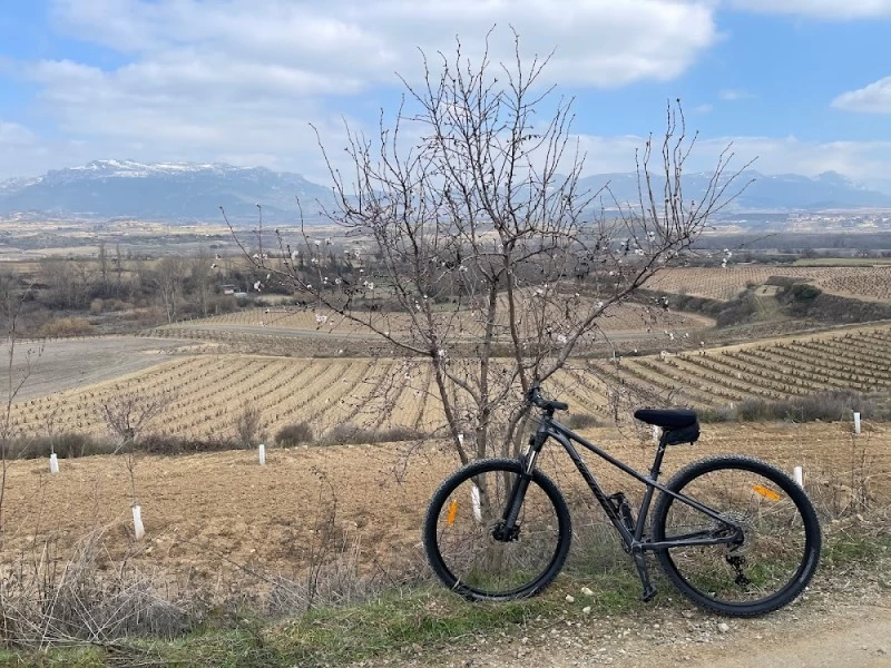 Oja Sport