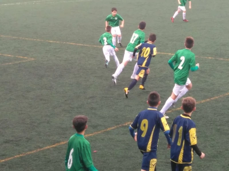 Pabellon