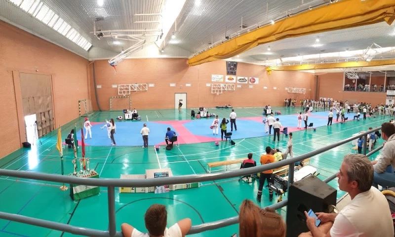 Pabellon De Deportes Gregorio Piedra