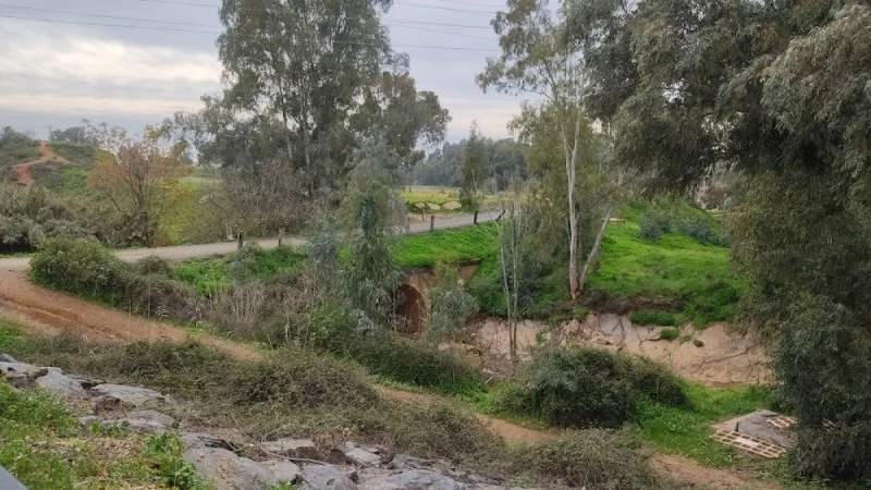 Parque Calistenia