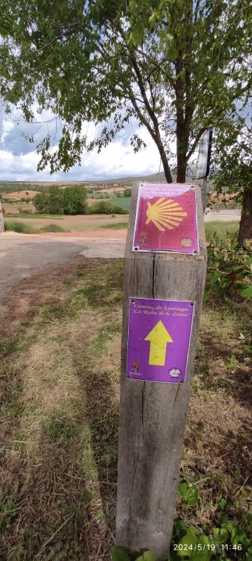 Ruta de la Lana Camino de Santiago