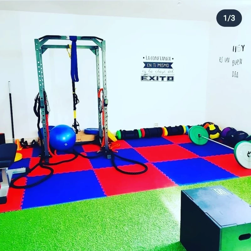 SAN-FIT (personal trainer)