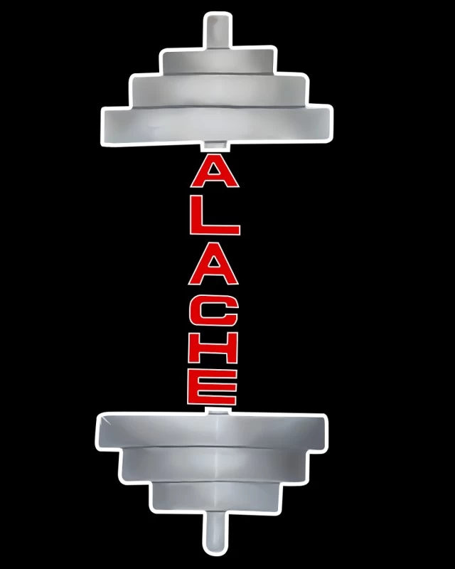 TEAM ALACHE