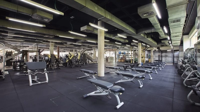Body Factory
