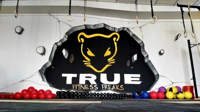 True Fitness Freaks