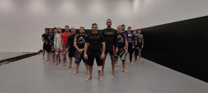 Vega Dojo