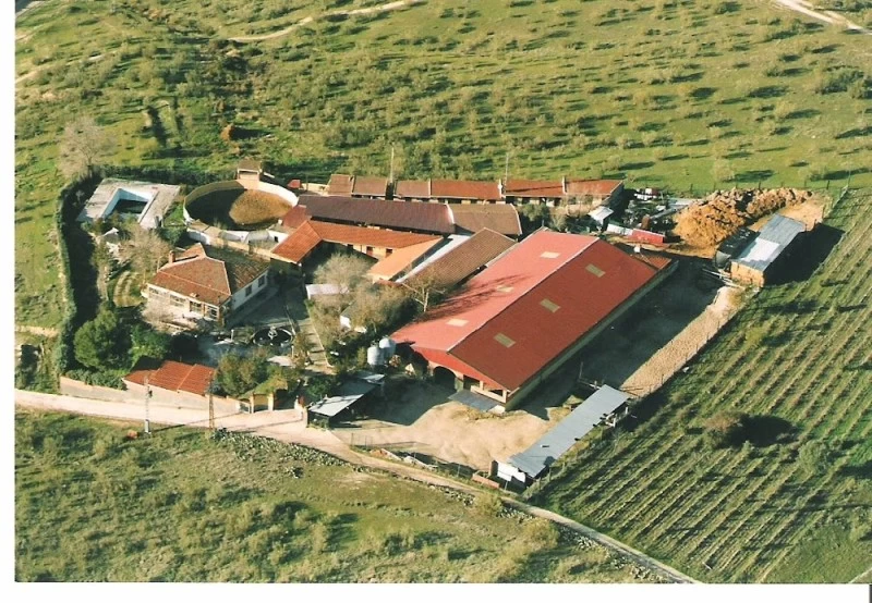 Yeguada Las Perdices - Centro de Equitacion