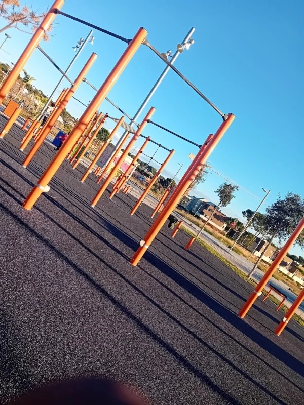 Calistenia parque