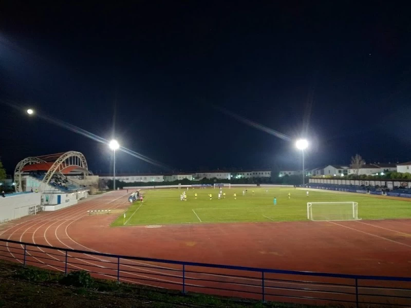 Campo de fútbol, césped natural