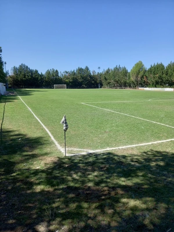 Campo Municipal El Henares