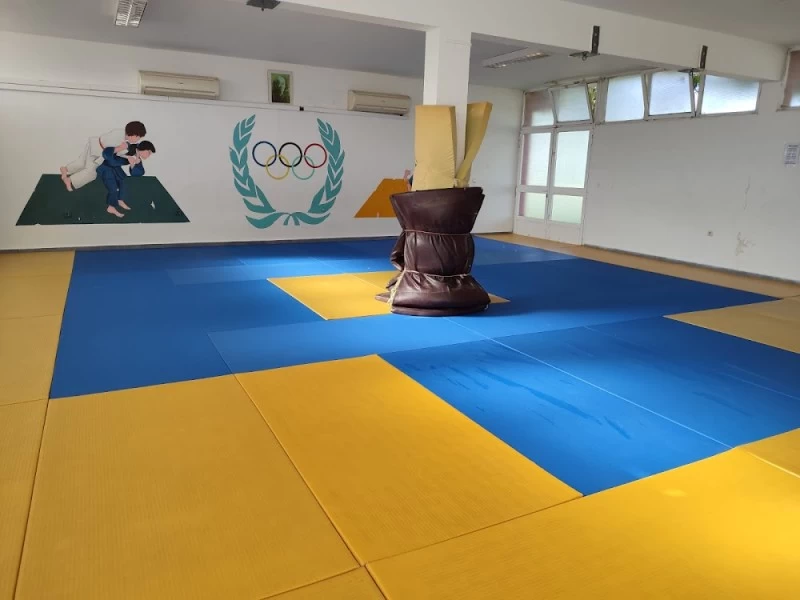 Club Shogai Judo Socuéllamos