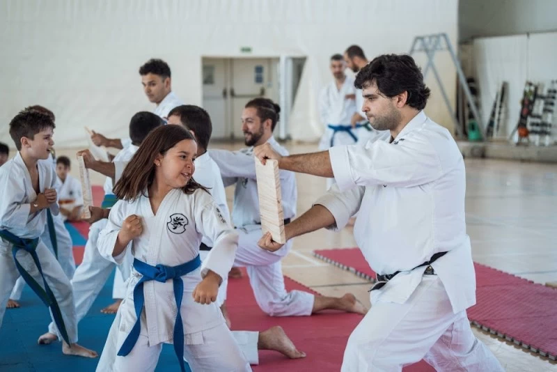 El Dojo Madrid, Escuela de artes marciales