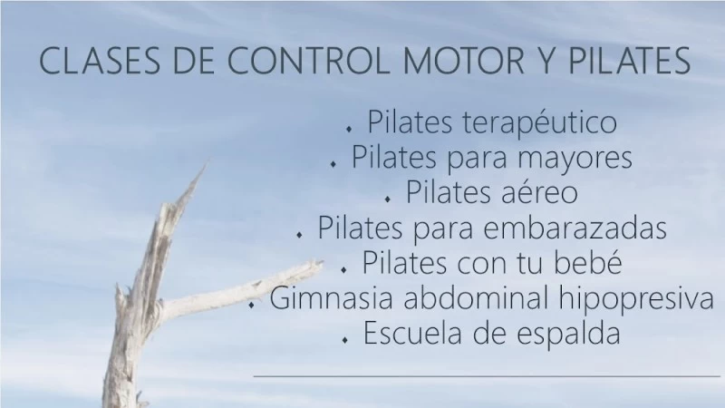 Elisabeth Nevado Pilates Studio Fisioterapeuta