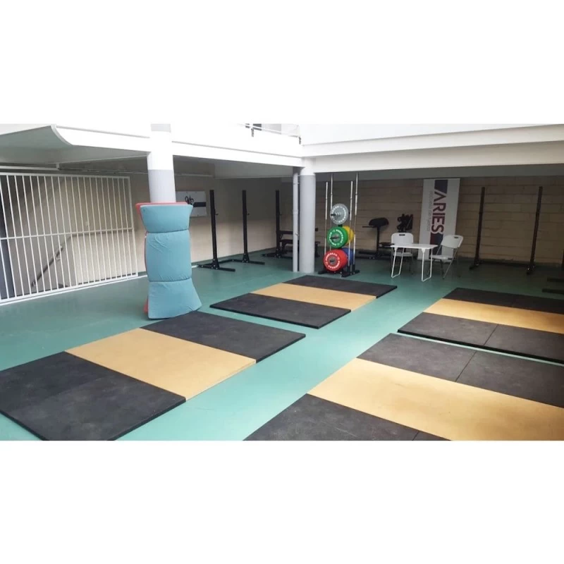 Escuela de Fuerza Aries