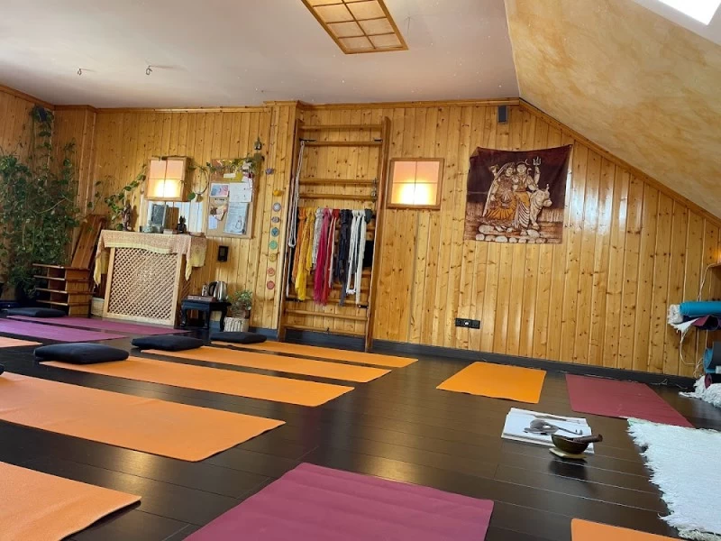 Escuela de Yoga Las Matas-Arantxa Villa