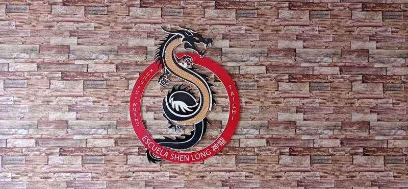 ESCUELA SHEN LONG