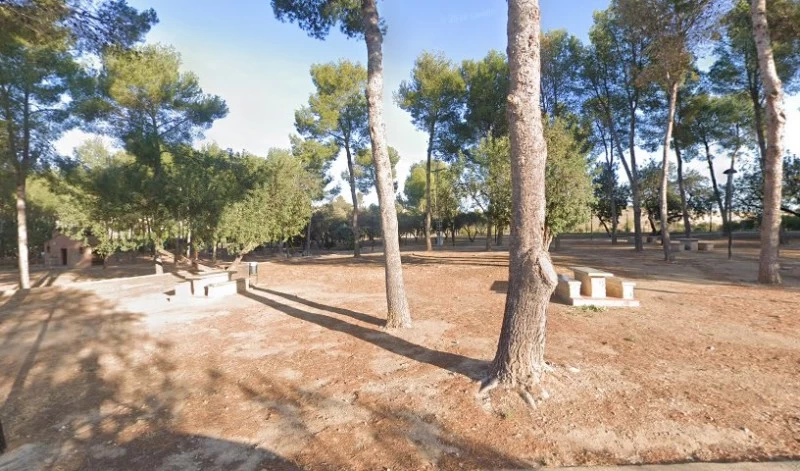 Calistenia