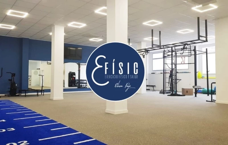 Efisic