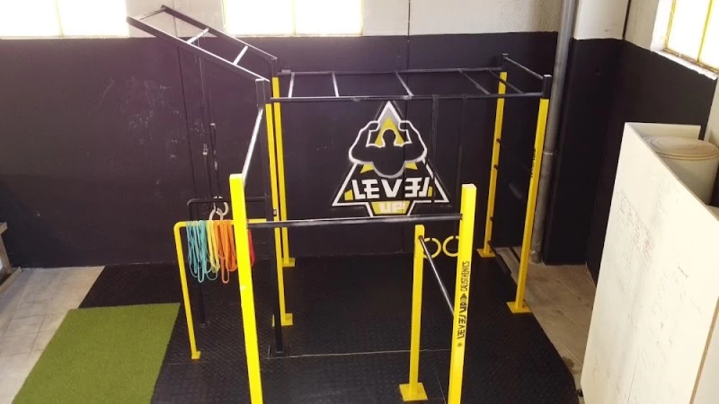 Level Up Academy