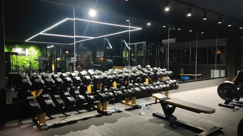 lifegym