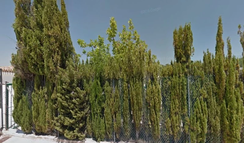 Piscina Municipal de Benifallim